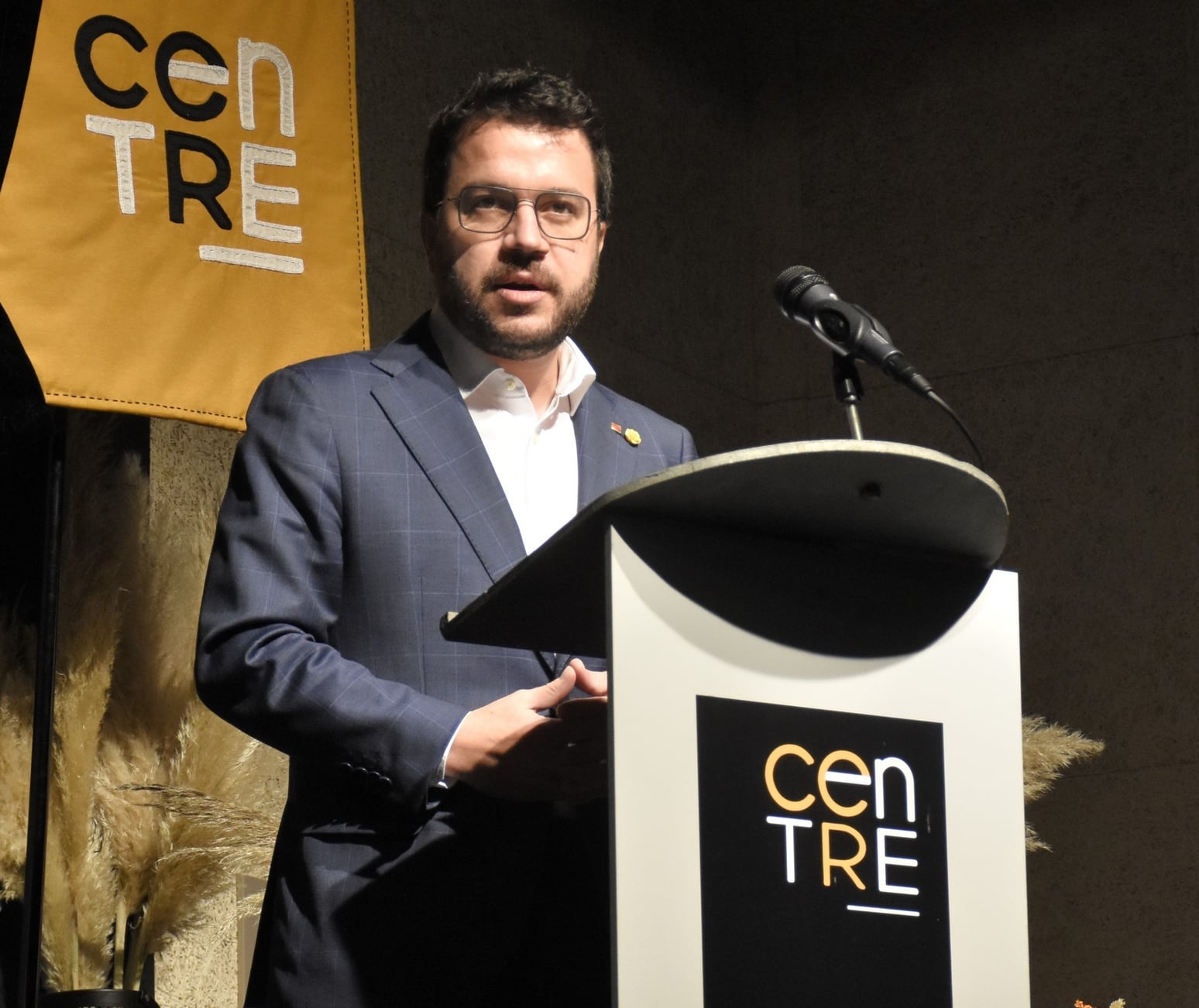 Diada CCR Pineda OK