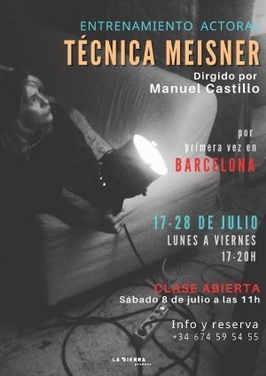 Curs artístic tècnica Meisner