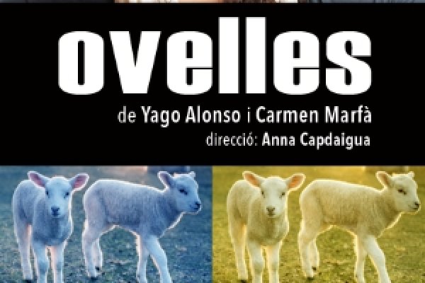 Cartell