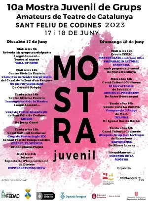 10a Mostra Juvenil de Grups Amateurs de Teatre de Catalunya